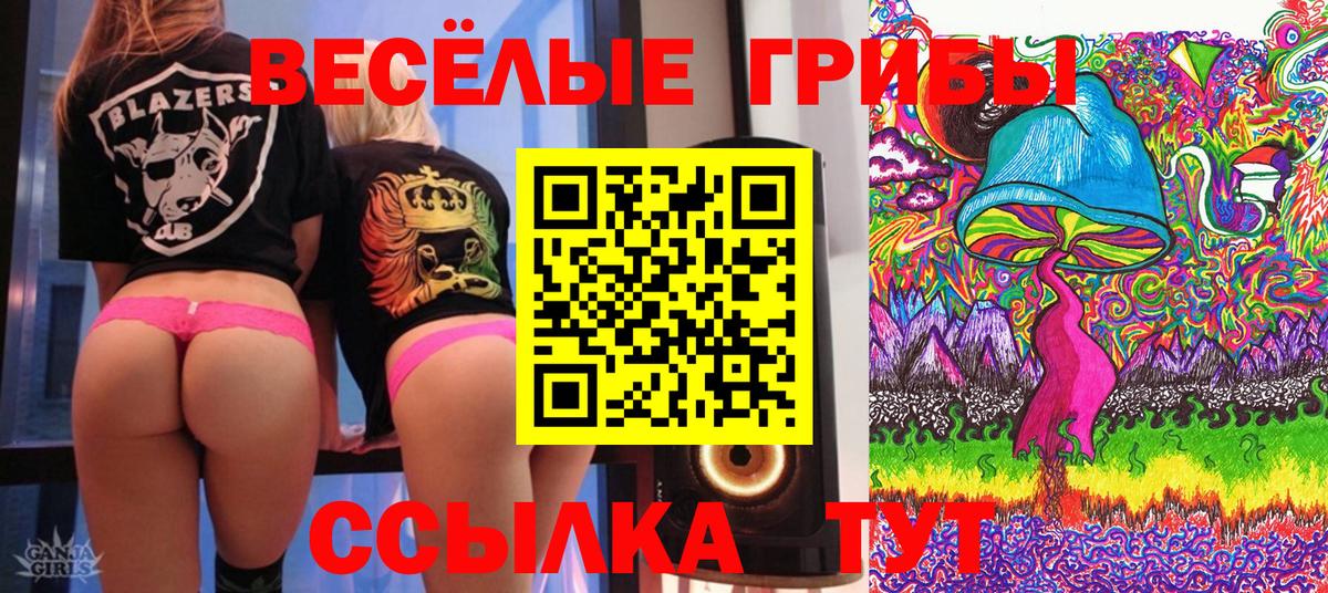 Галлюциногенные грибы мицелий Кингисепп